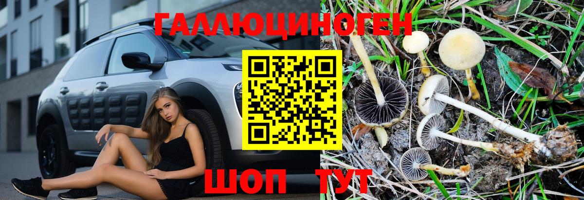 Химки  Псилоцибиновые грибы Psilocybine cubensis  Вход с VPN 