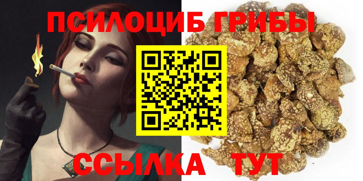 Галлюциногенные грибы Psilocybe Химки
